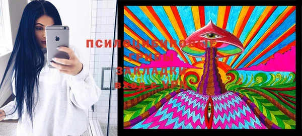 СК Медвежьегорск
