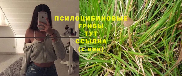 гашик Магас