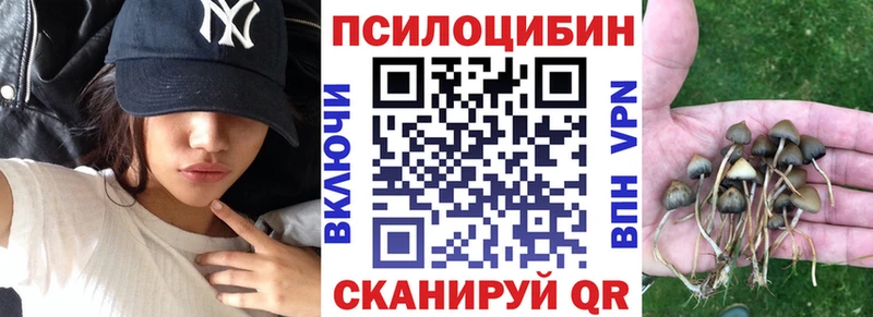Галлюциногенные грибы GOLDEN TEACHER  где купить   Мантурово 